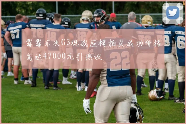 霉霉东决G3观战座椅拍卖成功价格高达47000元引热议